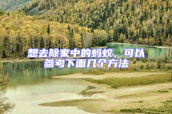 想去除家中的螞蟻,可以參考下面幾個方法