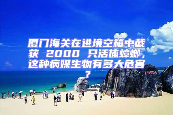廈門海關(guān)在進(jìn)境空箱中截獲 2000 只活體蟑螂,這種病媒生物有多大危害?