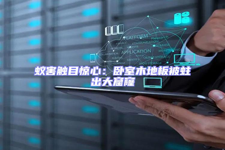 蟻害觸目驚心:臥室木地板被蛀出大窟窿