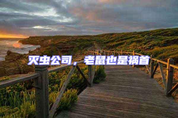 滅蟲公司，老鼠也是禍首