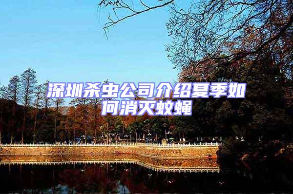 深圳殺蟲(chóng)公司介紹夏季如何消滅蚊蠅