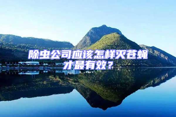 除蟲公司應該怎樣滅蒼蠅才最有效?