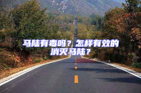 馬陸有毒嗎?怎樣有效的消滅馬陸?