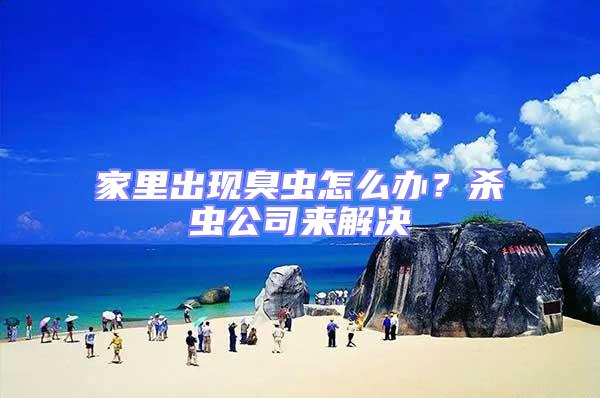 家里出現(xiàn)臭蟲(chóng)怎么辦?殺蟲(chóng)公司來(lái)解決