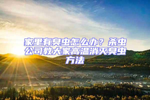 家里有臭蟲怎么辦?殺蟲公司教大家高溫消滅臭蟲方法