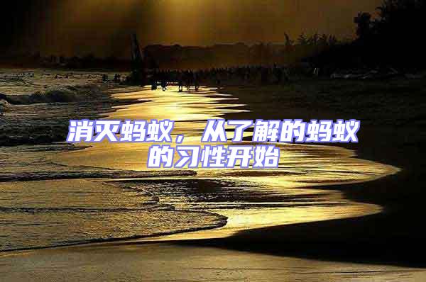 消滅螞蟻,從了解的螞蟻的習性開始