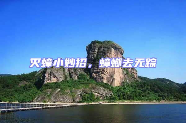 滅蟑小妙招,蟑螂去無蹤