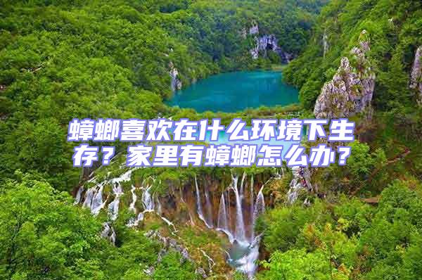 蟑螂喜歡在什么環境下生存?家里有蟑螂怎么辦?