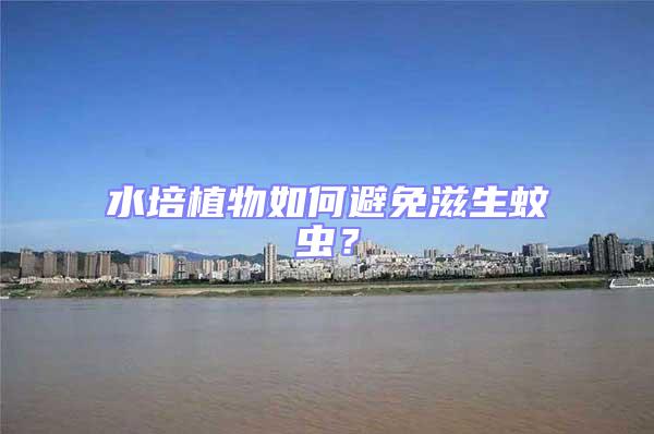 水培植物如何避免滋生蚊蟲?