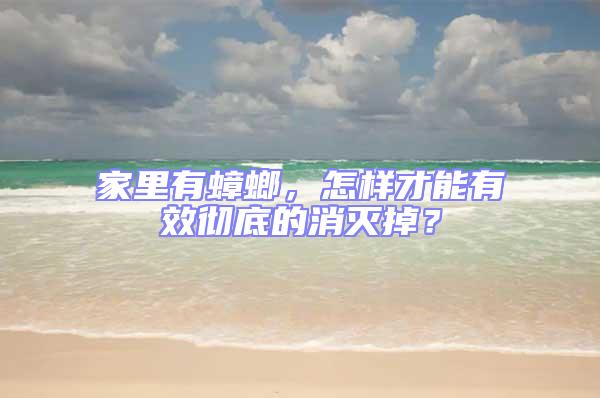 家里有蟑螂，怎樣才能有效徹底的消滅掉？