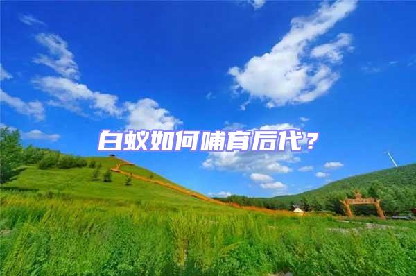 白蟻如何哺育后代?