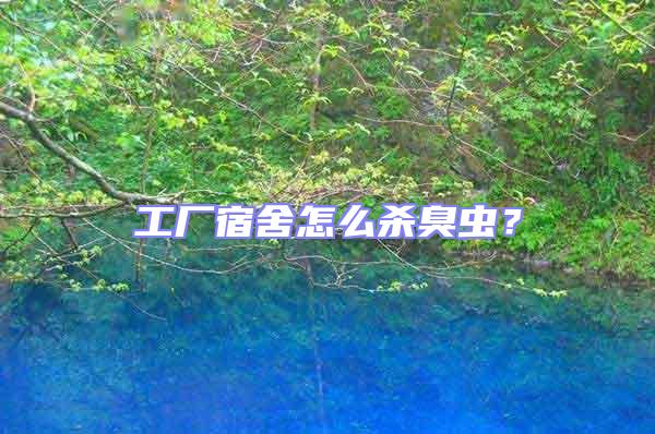 工廠宿舍怎么殺臭蟲?