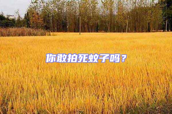 你敢拍死蚊子嗎？