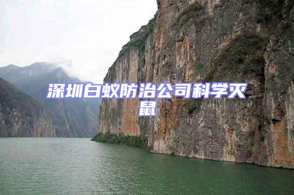 深圳白蟻防治公司科學(xué)滅鼠