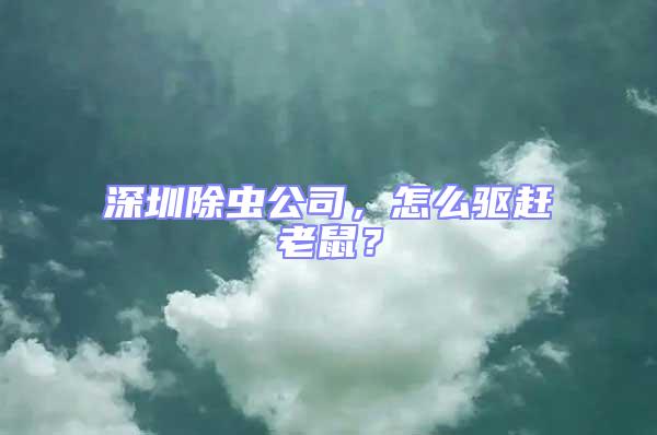深圳除蟲公司,怎么驅趕老鼠?