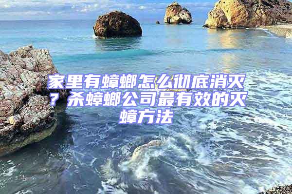 家里有蟑螂怎么徹底消滅？殺蟑螂公司最有效的滅蟑方法