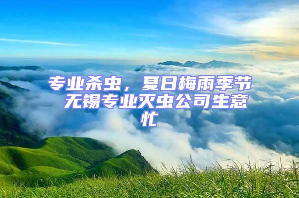 專業殺蟲，夏日梅雨季節 無錫專業滅蟲公司生意忙