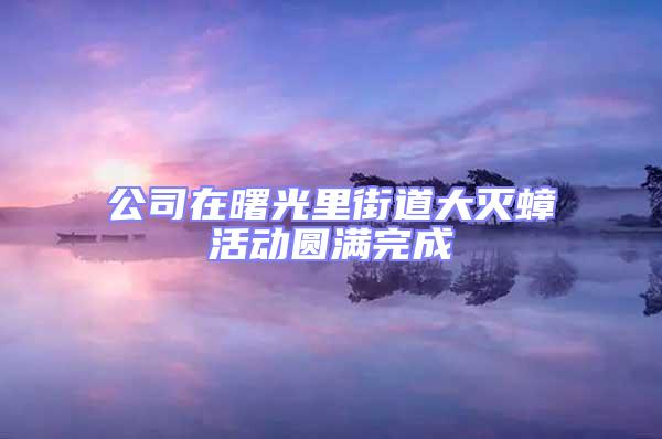 公司在曙光里街道大滅蟑活動(dòng)圓滿完成
