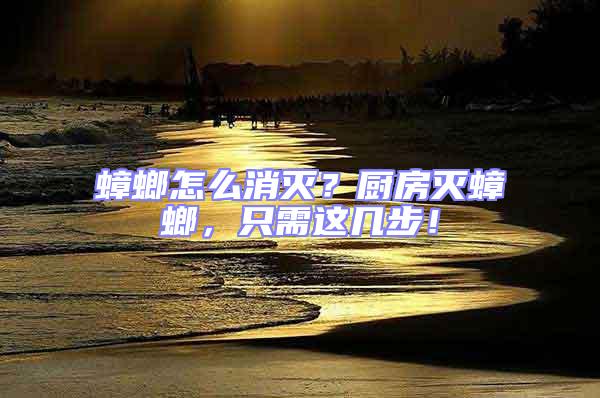 蟑螂怎么消滅?廚房滅蟑螂,只需這幾步!