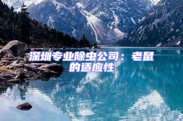 深圳專業除蟲公司:老鼠的適應性