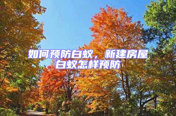 如何預防白蟻,新建房屋白蟻怎樣預防