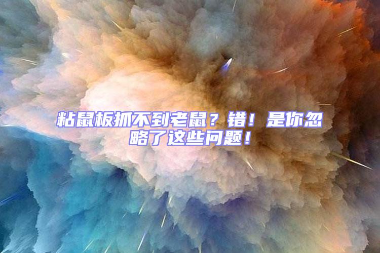 粘鼠板抓不到老鼠?錯!是你忽略了這些問題!