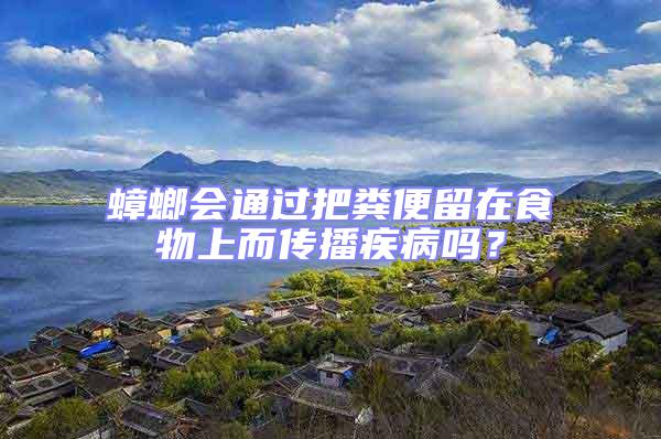 蟑螂會通過把糞便留在食物上而傳播疾病嗎?