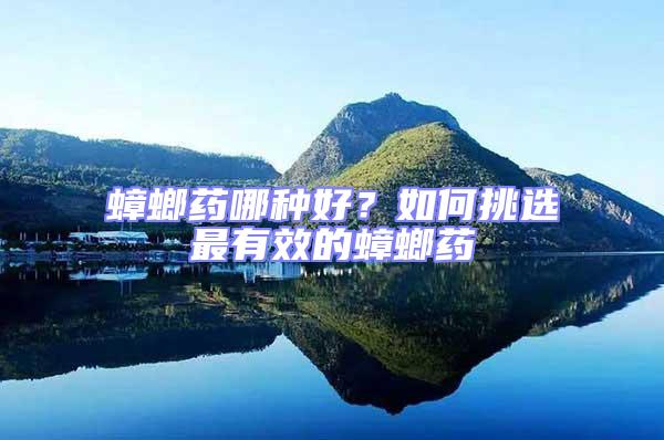 蟑螂藥哪種好?如何挑選最有效的蟑螂藥