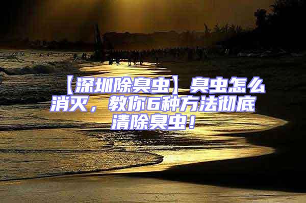 【深圳除臭蟲】臭蟲怎么消滅，教你6種方法徹底清除臭蟲！