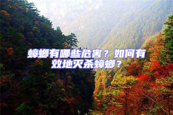 蟑螂有哪些危害?如何有效地滅殺蟑螂?