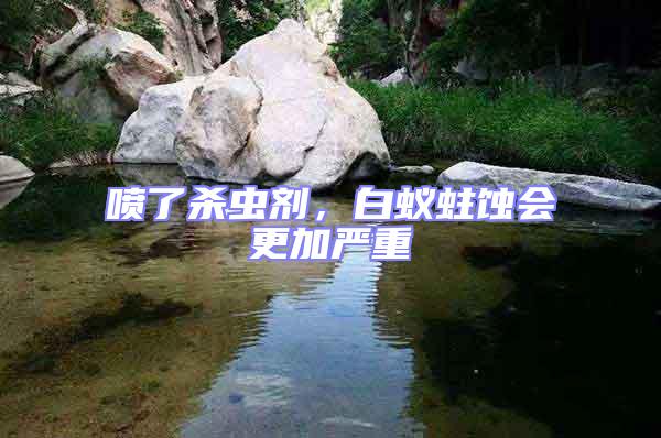 噴了殺蟲劑,白蟻蛀蝕會更加嚴重