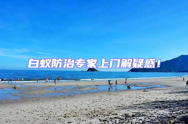 白蟻防治專家上門解疑惑!