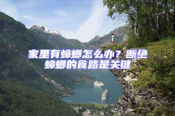 家里有蟑螂怎么辦?斷絕蟑螂的食路是關鍵