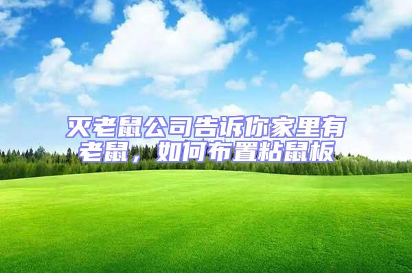 滅老鼠公司告訴你家里有老鼠,如何布置粘鼠板