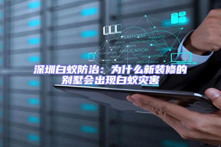 深圳白蟻防治:為什么新裝修的別墅會出現白蟻災害