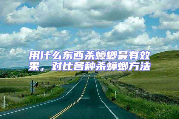 用什么東西殺蟑螂最有效果,對比各種殺蟑螂方法