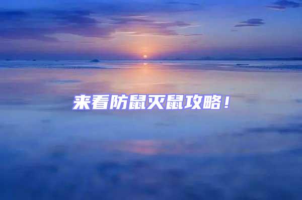 來看防鼠滅鼠攻略!