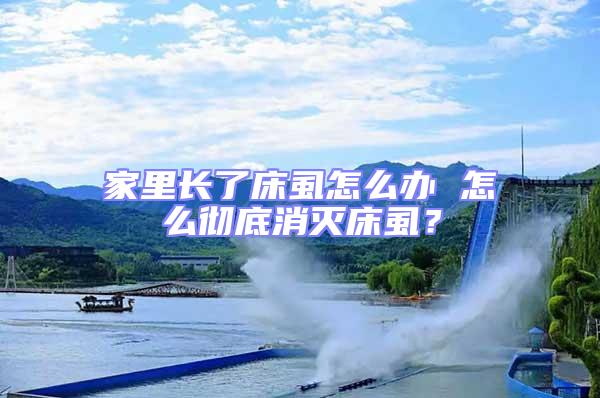 家里長了床虱怎么辦 怎么徹底消滅床虱?