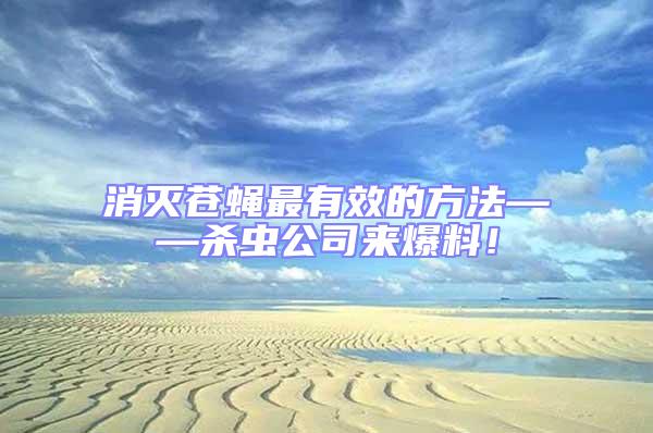 消滅蒼蠅最有效的方法——?dú)⑾x公司來爆料!