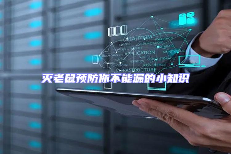 滅老鼠預(yù)防你不能漏的小知識(shí)