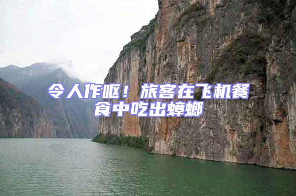 令人作嘔！旅客在飛機餐食中吃出蟑螂