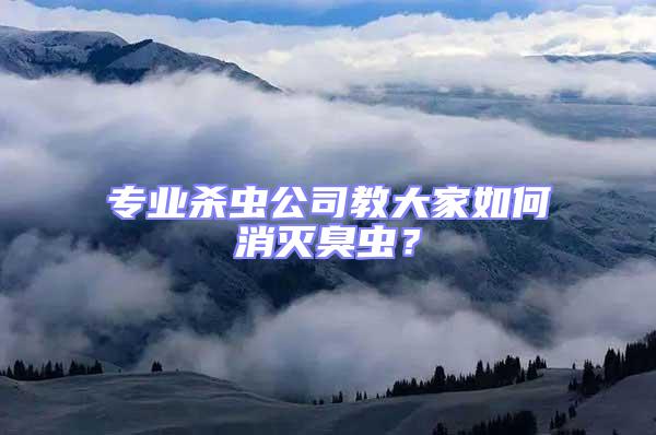 專業殺蟲公司教大家如何消滅臭蟲?