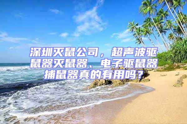 深圳滅鼠公司，超聲波驅鼠器滅鼠器、電子驅鼠器捕鼠器真的有用嗎？