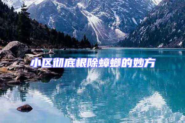 小區(qū)徹底根除蟑螂的妙方