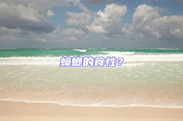 蟑螂的食性?