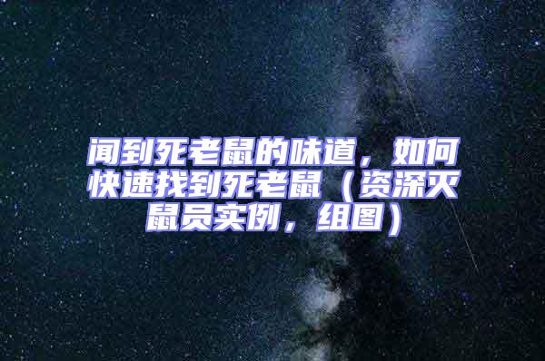 聞到死老鼠的味道,如何快速找到死老鼠(資深滅鼠員實例,組圖)