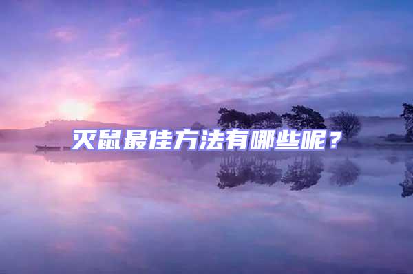 滅鼠最佳方法有哪些呢?