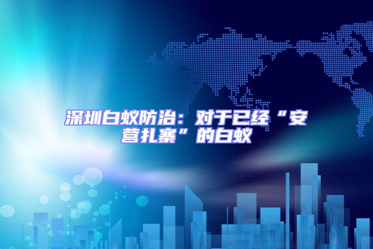 深圳白蟻防治:對于已經“安營扎寨”的白蟻
