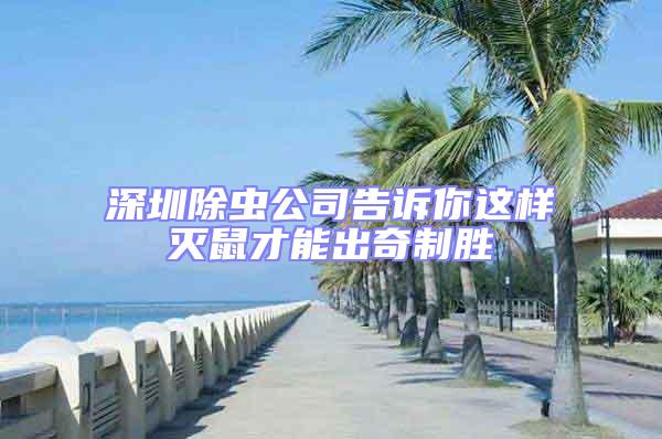 深圳除蟲(chóng)公司告訴你這樣滅鼠才能出奇制勝