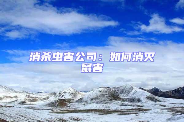 消殺蟲害公司：如何消滅鼠害